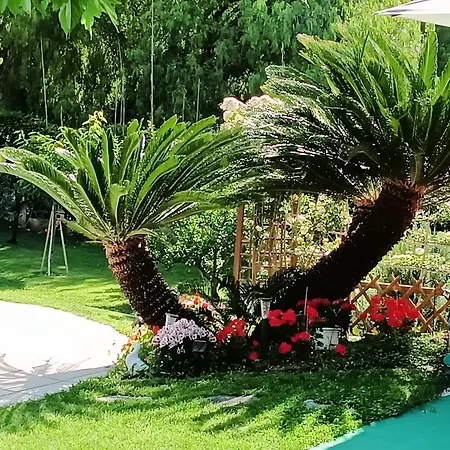 Le Mazet Au Petit Bonheur بورم لي ميموزا
